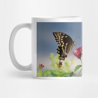 Butterfly Eating Mug